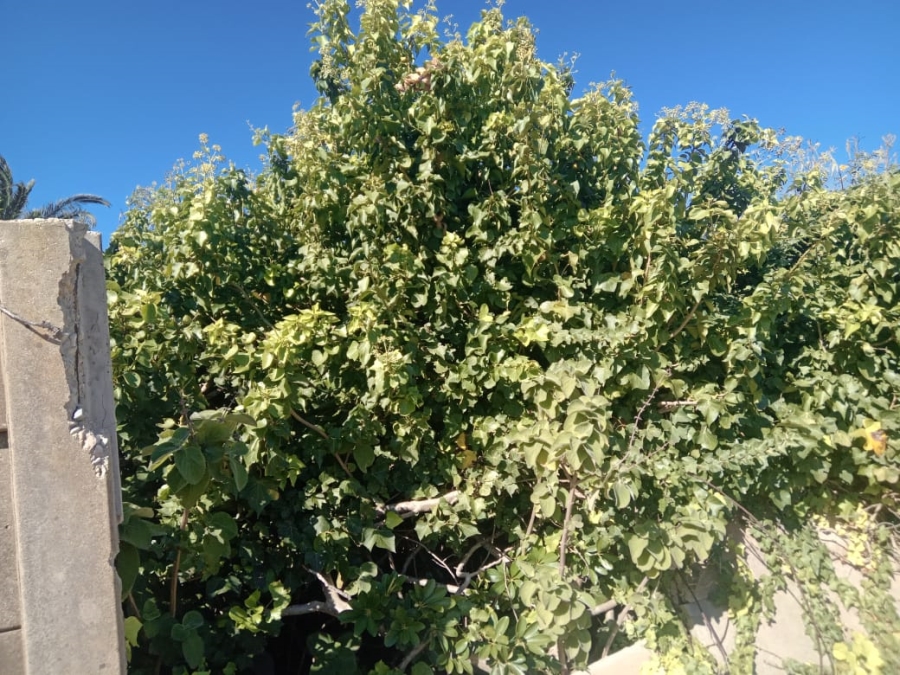 Commercial Property for Sale in Wavecrest Eastern Cape